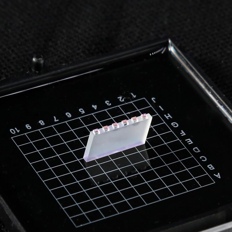 6CH LWDM 1.1mm pitch  2.8 nm passband Z-